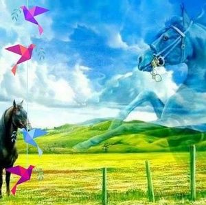 Meet your Posher, Heloy